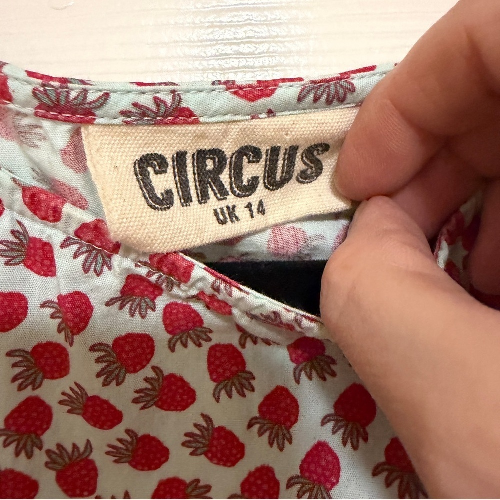 Circus Strawberry Print Midi Dress – UK 14 - Picture 3 of 5